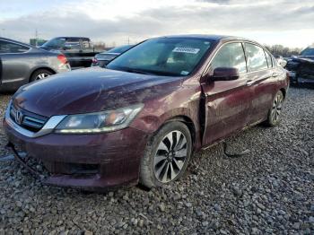  Salvage Honda Accord