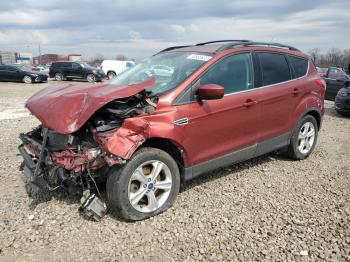  Salvage Ford Escape