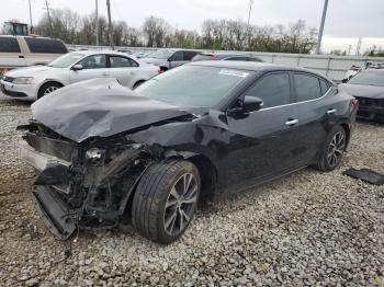  Salvage Nissan Maxima