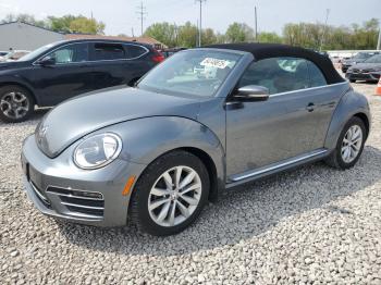  Salvage Volkswagen Beetle