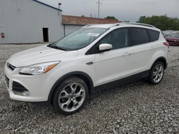 Salvage Ford Escape