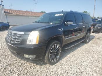  Salvage Cadillac Escalade
