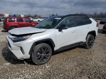 Salvage Toyota RAV4