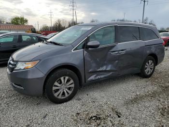  Salvage Honda Odyssey