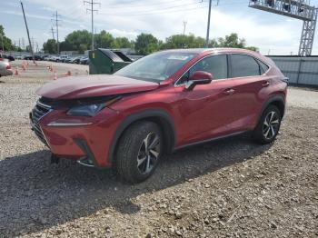  Salvage Lexus NX