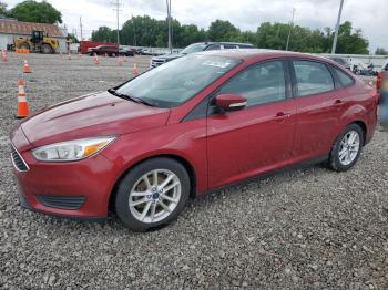  Salvage Ford Focus