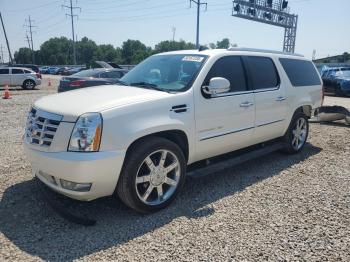  Salvage Cadillac Escalade