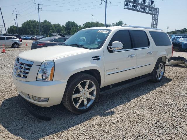  Salvage Cadillac Escalade