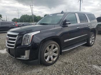  Salvage Cadillac Escalade