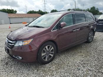  Salvage Honda Odyssey
