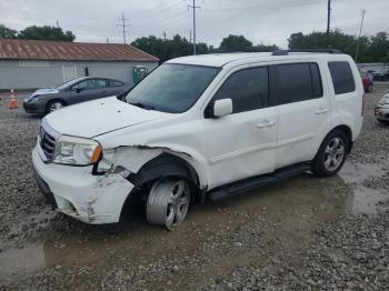  Salvage Honda Pilot