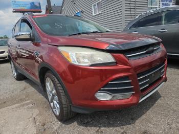  Salvage Ford Escape
