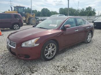  Salvage Nissan Maxima