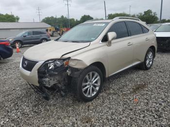  Salvage Lexus RX