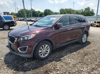  Salvage Kia Sorento