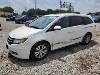  Salvage Honda Odyssey