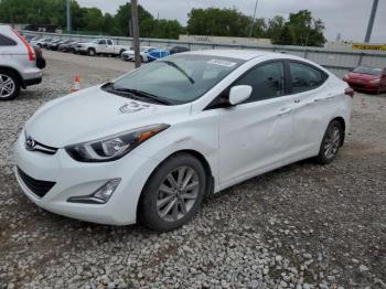  Salvage Hyundai ELANTRA