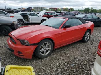  Salvage Ford Mustang