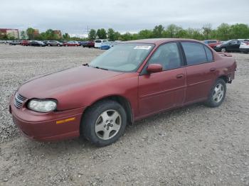  Salvage Chevrolet Malibu