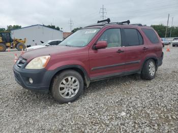  Salvage Honda Crv