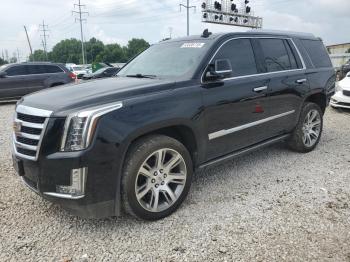  Salvage Cadillac Escalade