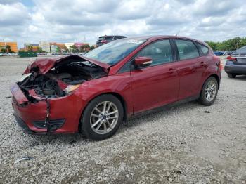 Salvage Ford Focus