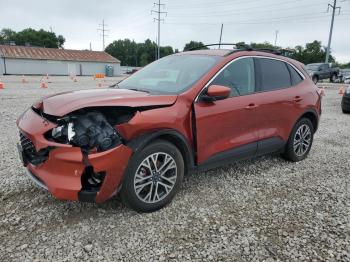  Salvage Ford Escape
