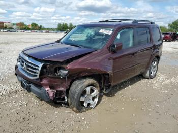  Salvage Honda Pilot