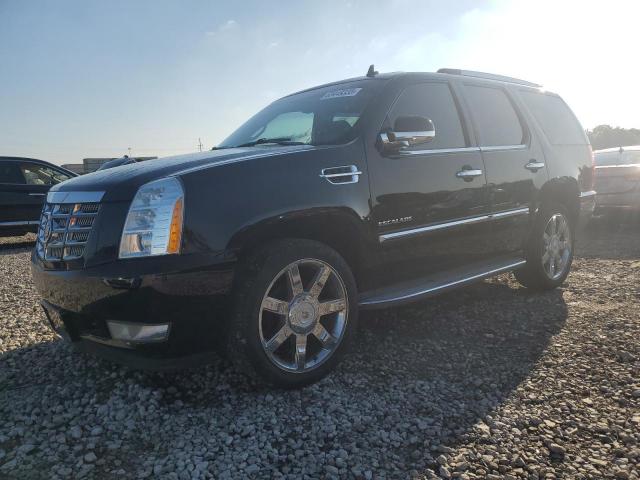  Salvage Cadillac Escalade
