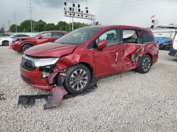  Salvage Honda Odyssey