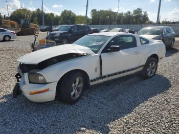  Salvage Ford Mustang
