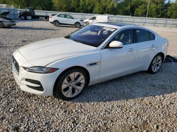  Salvage Jaguar XE
