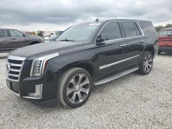  Salvage Cadillac Escalade