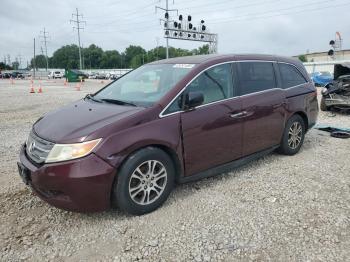  Salvage Honda Odyssey