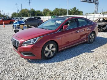  Salvage Hyundai SONATA