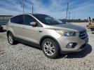 Ford Escape Se Image 5