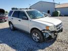 Ford Escape Xlt Image 6