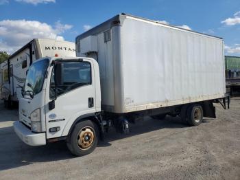  Salvage Isuzu Nqr