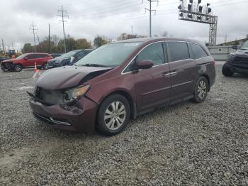  Salvage Honda Odyssey