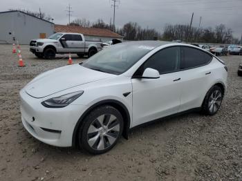  Salvage Tesla Model Y