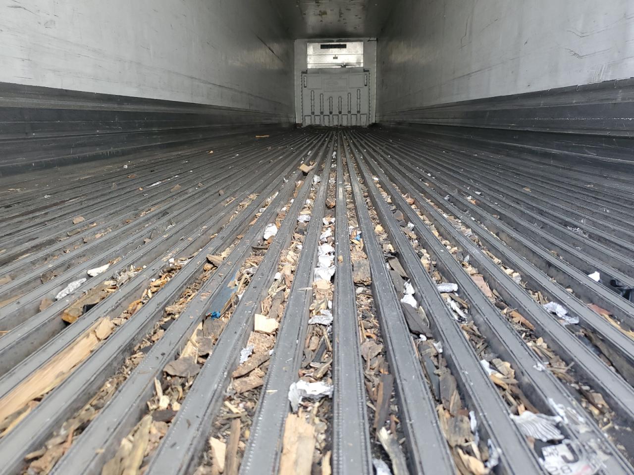 Great Dane Other Image 10