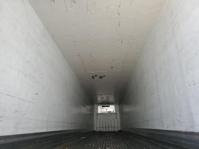 Great Dane Other Image 5