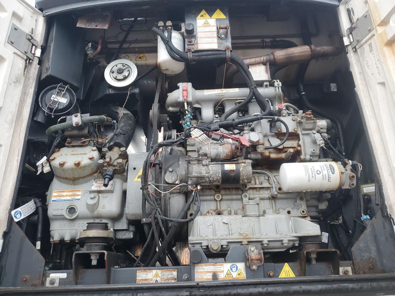 Great Dane Other Image 4