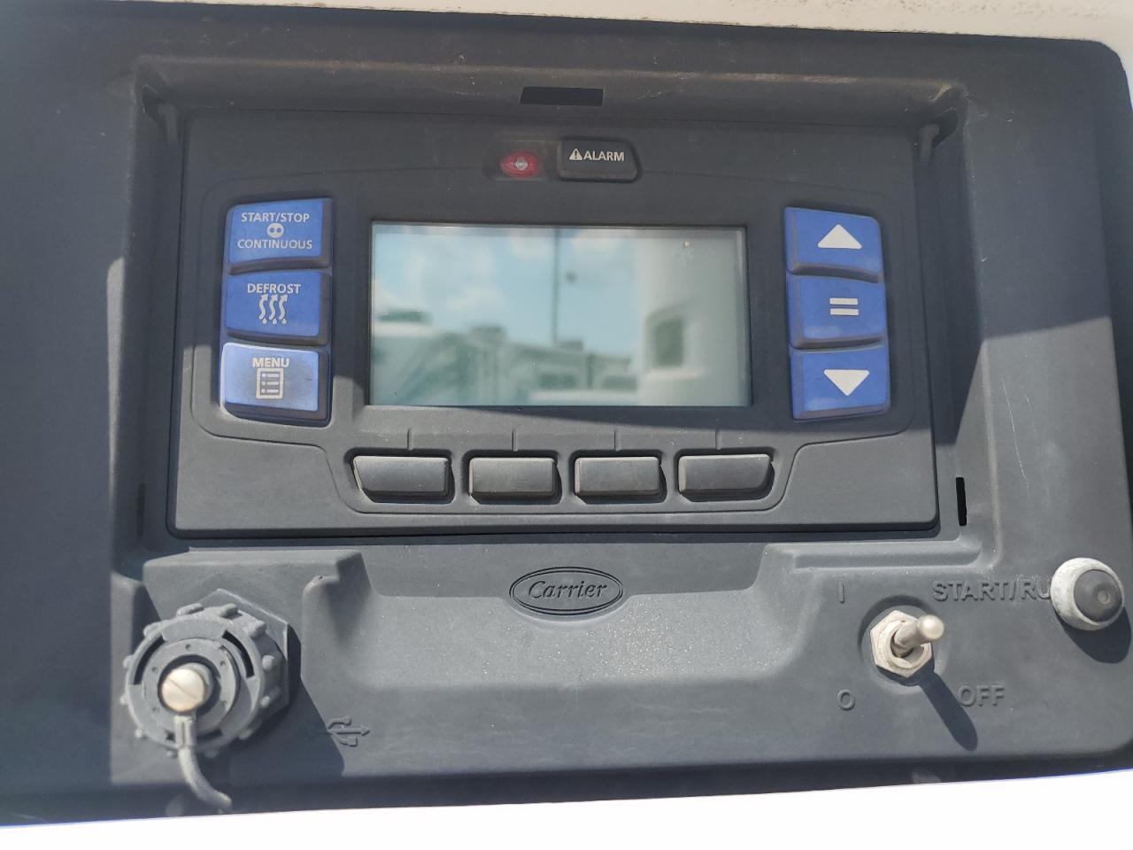 Great Dane Other Image 8