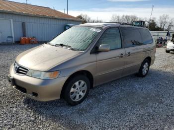  Salvage Honda Odyssey