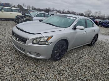  Salvage Nissan Maxima