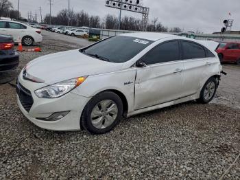  Salvage Hyundai SONATA