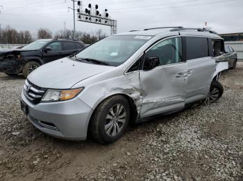  Salvage Honda Odyssey