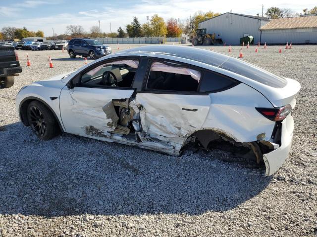Tesla Model Y Image 11