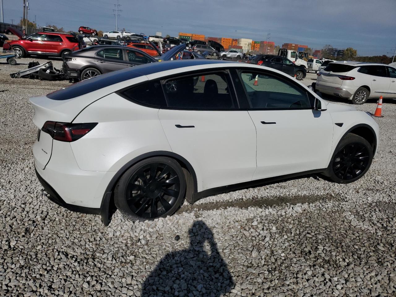 Tesla Model Y Image 5